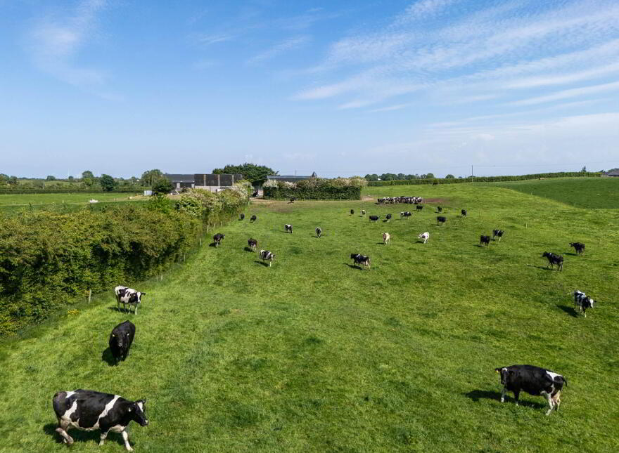 Cappanrush, Kilbeggan