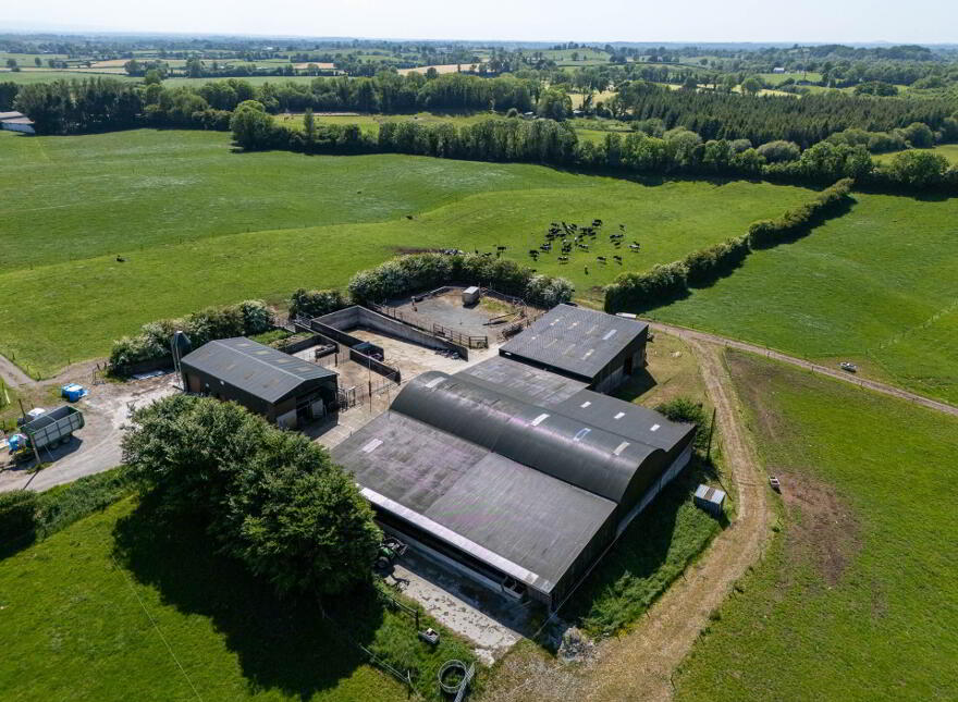 Cappanrush, Kilbeggan