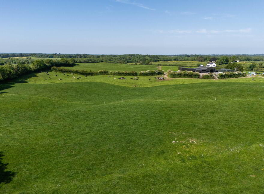 Cappanrush, Kilbeggan
