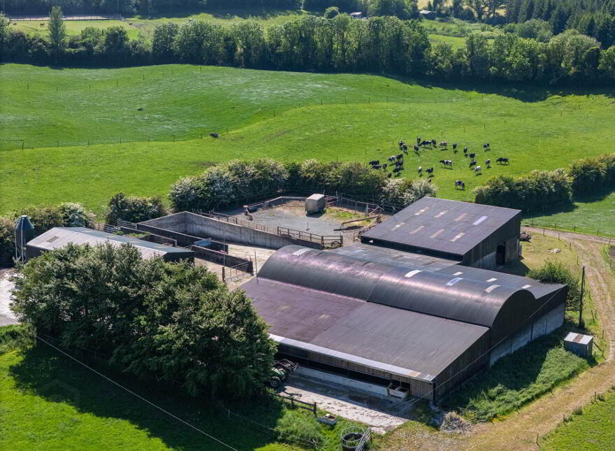 Cappanrush, Kilbeggan
