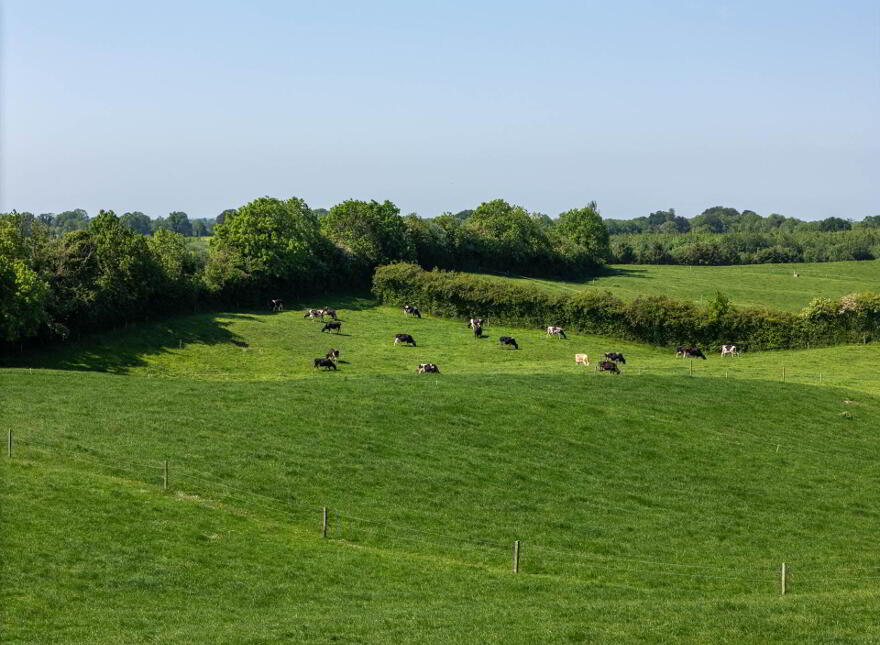Cappanrush, Kilbeggan