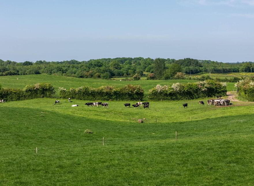 Cappanrush, Kilbeggan