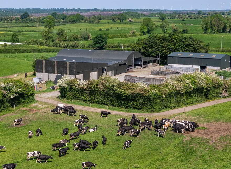 Cappanrush, Kilbeggan