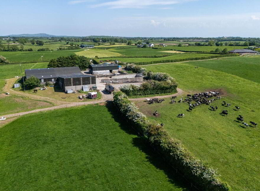 Cappanrush, Kilbeggan