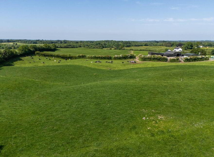Cappanrush, Kilbeggan