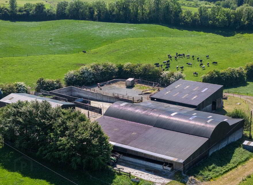 Cappanrush, Kilbeggan