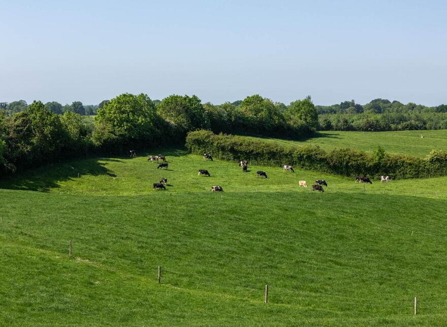 Cappanrush, Kilbeggan