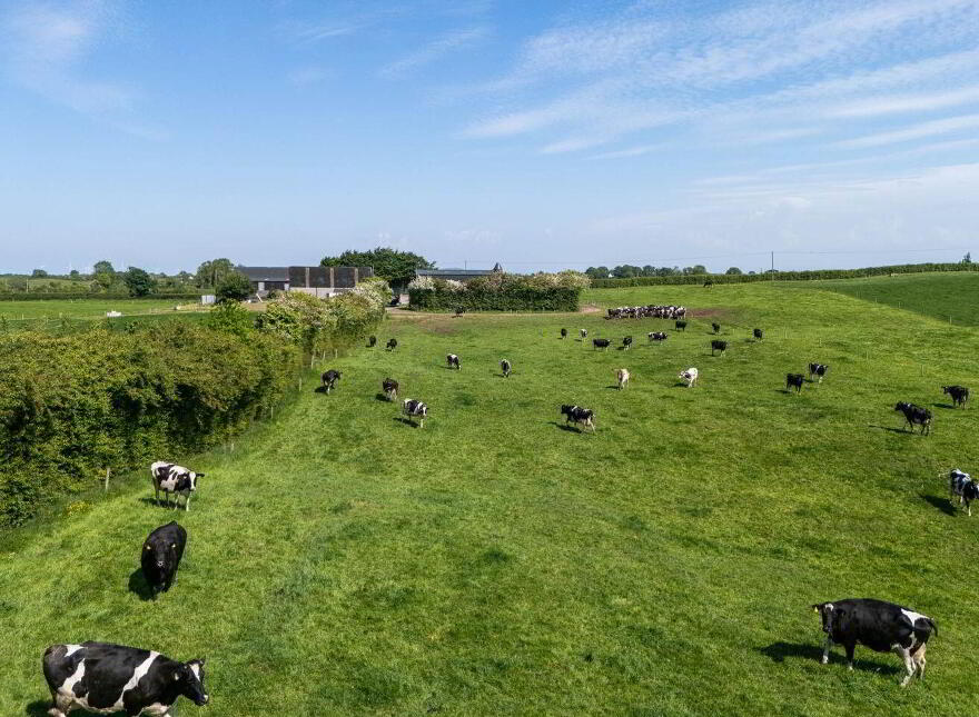Cappanrush, Kilbeggan