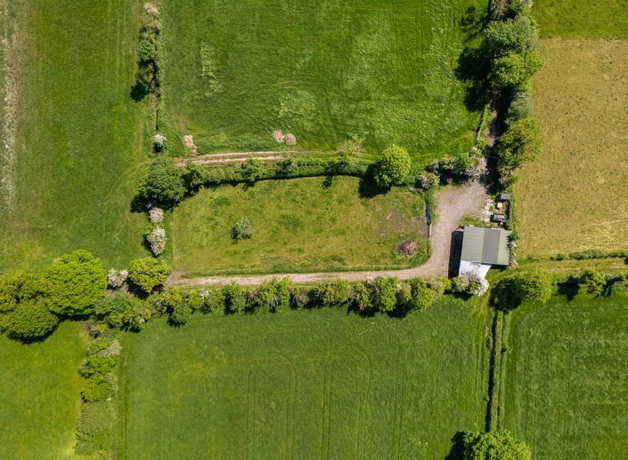 Eneghan, Walsh Island