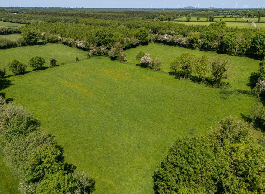 Eneghan, Walsh Island