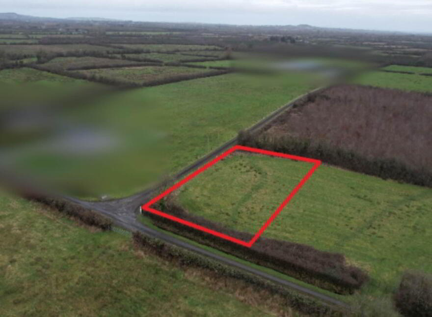 Ballinkill, Newtownshandrum