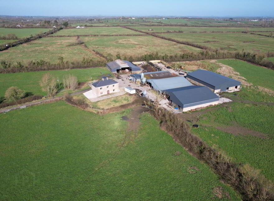 Garrane, Bruree, P56A446