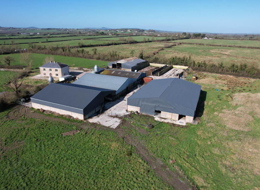 Garrane, Bruree, P56A446