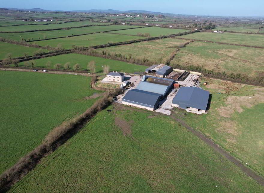 Garrane, Bruree, P56A446