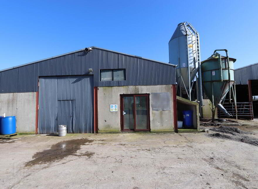 Garrane, Bruree, P56A446
