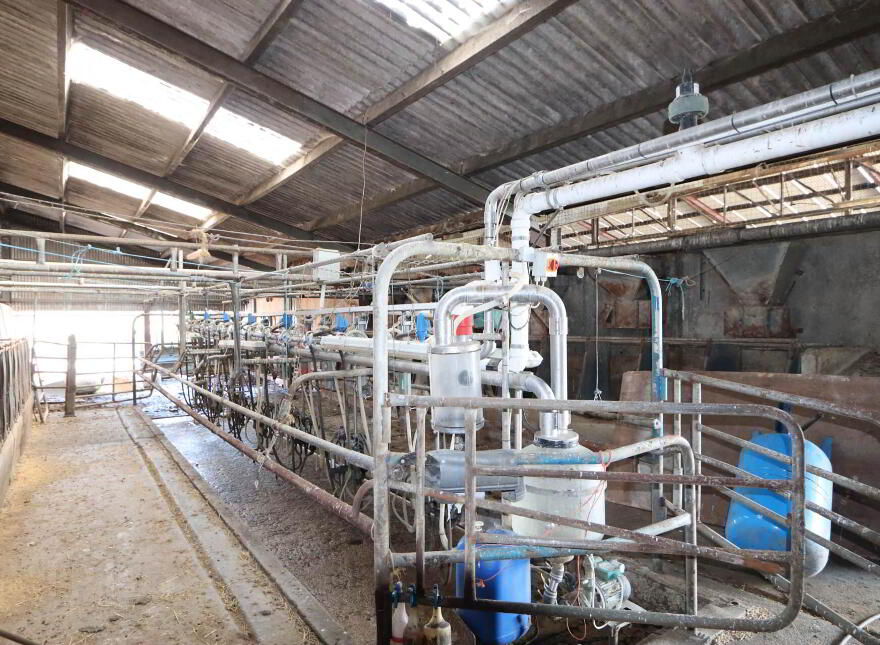Garrane, Bruree, P56A446