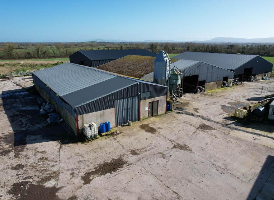 Garrane, Bruree, P56A446