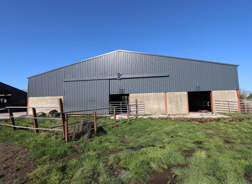 Garrane, Bruree, P56A446