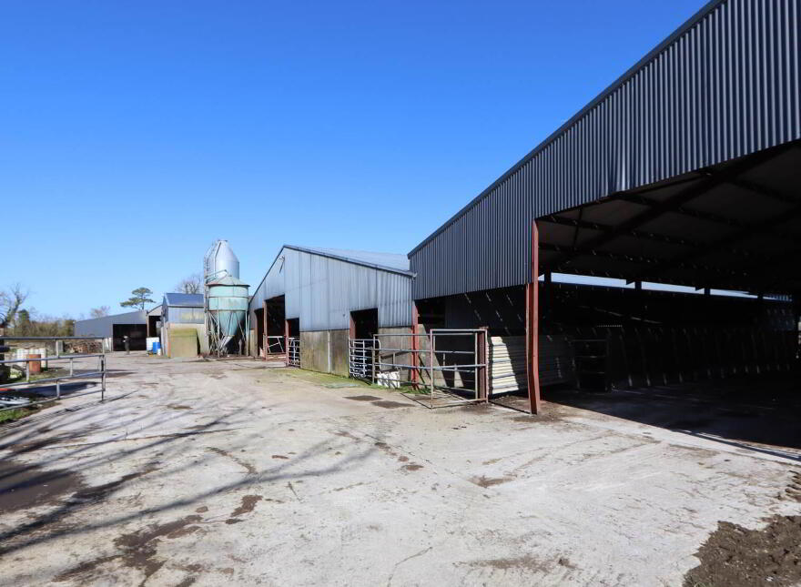 Garrane, Bruree, P56A446