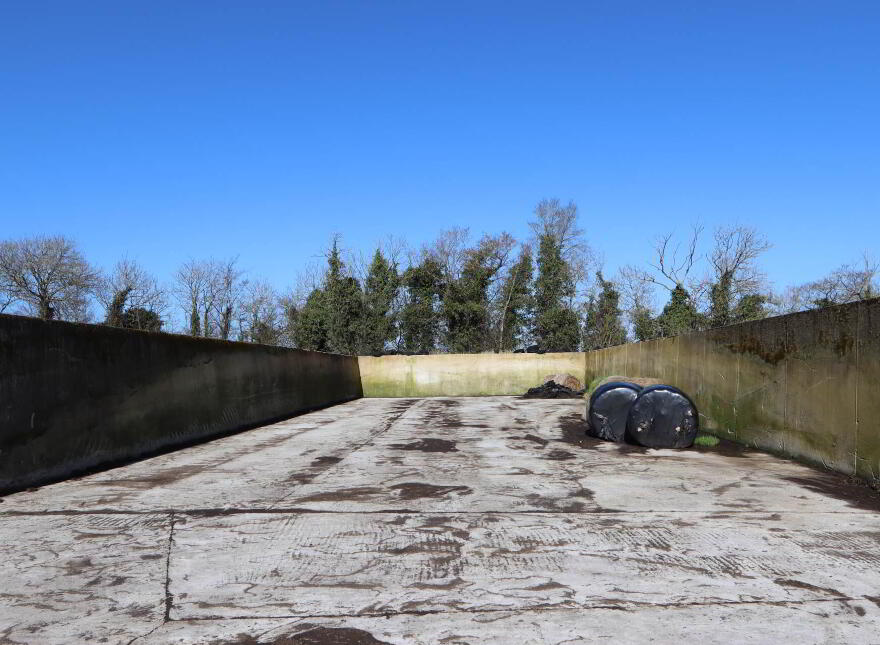 Garrane, Bruree, P56A446