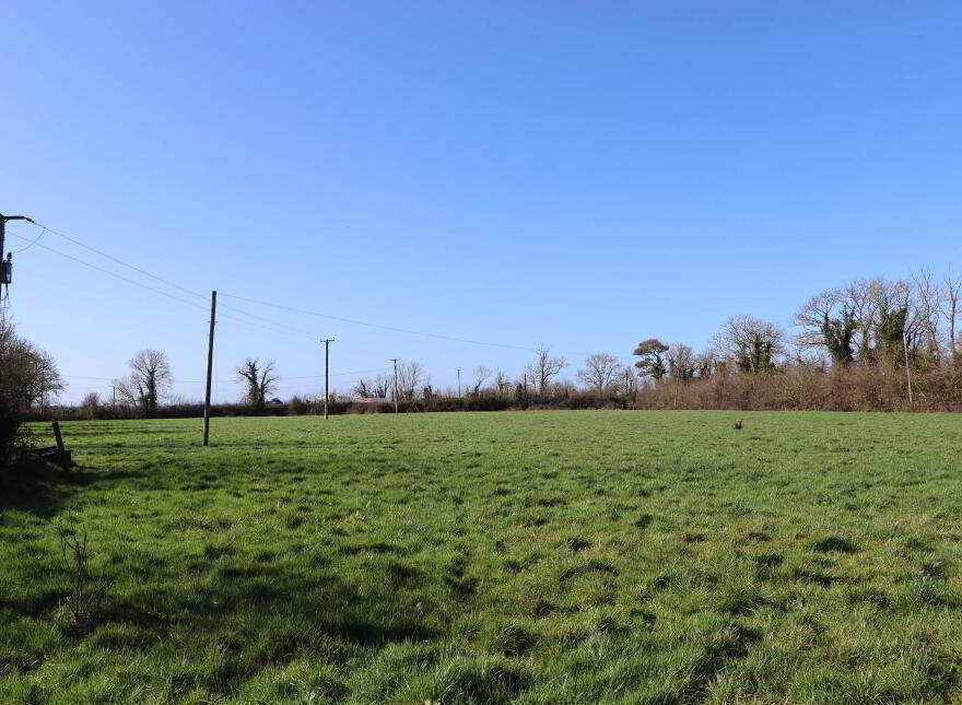 Garrane, Bruree, P56A446