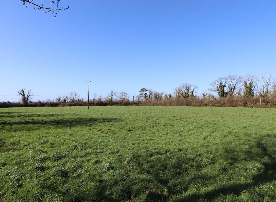 Garrane, Bruree, P56A446