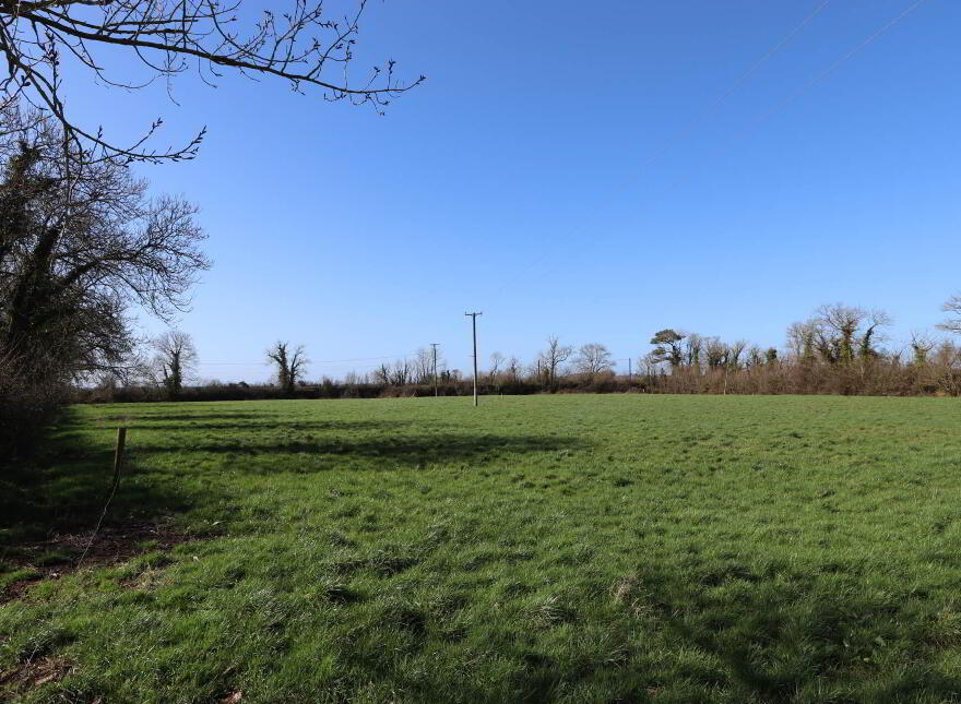 Garrane, Bruree, P56A446