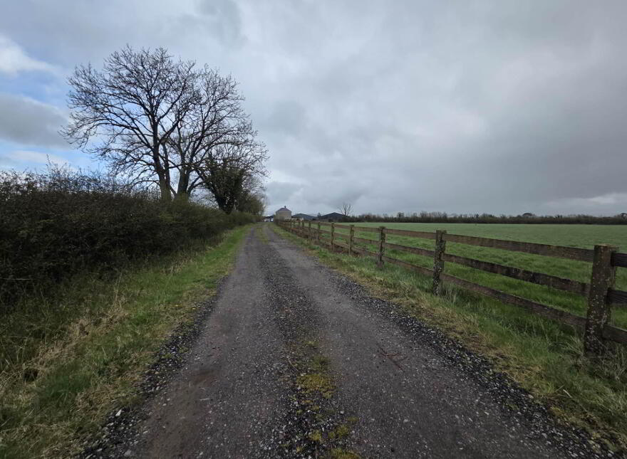 Garrane, Bruree, P56A446