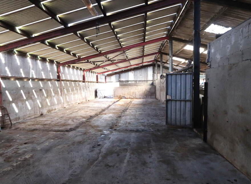 Garrane, Bruree, P56A446