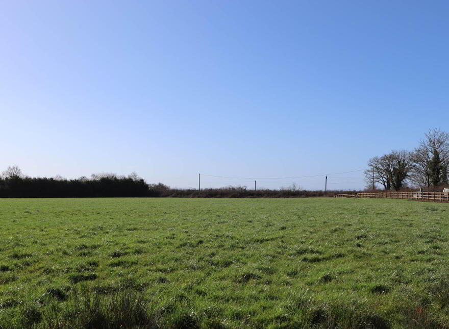 Garrane, Bruree, P56A446