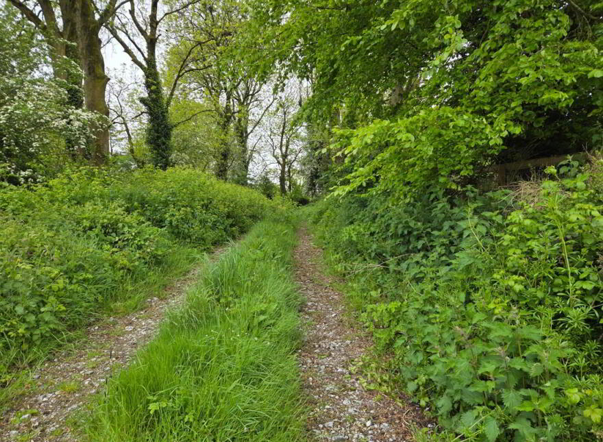 Carroward, Dromcolliher