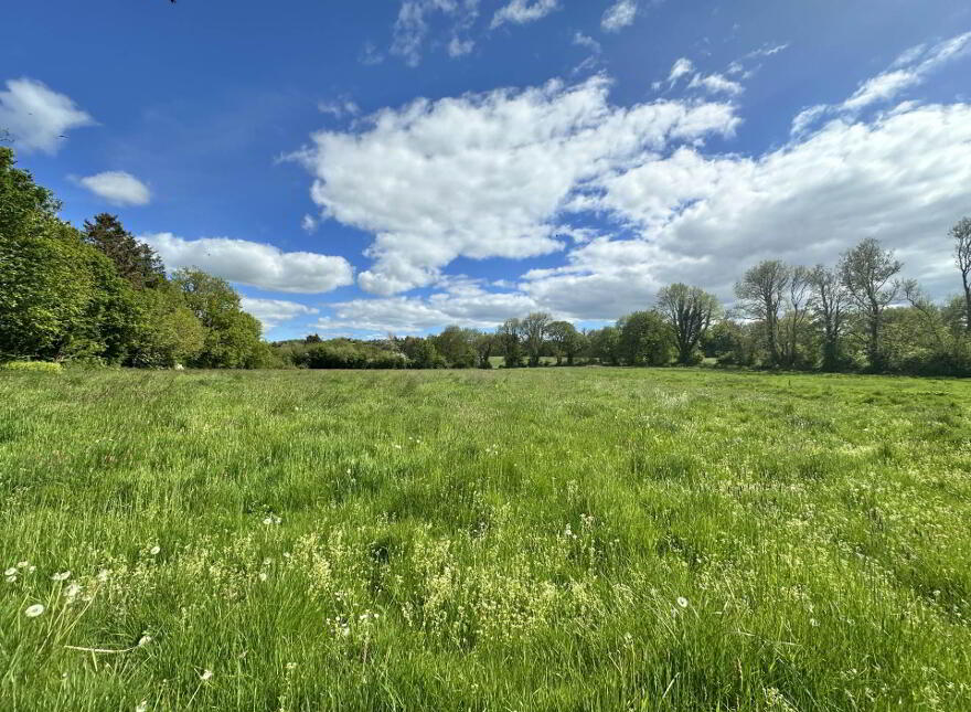 Carroward, Dromcolliher