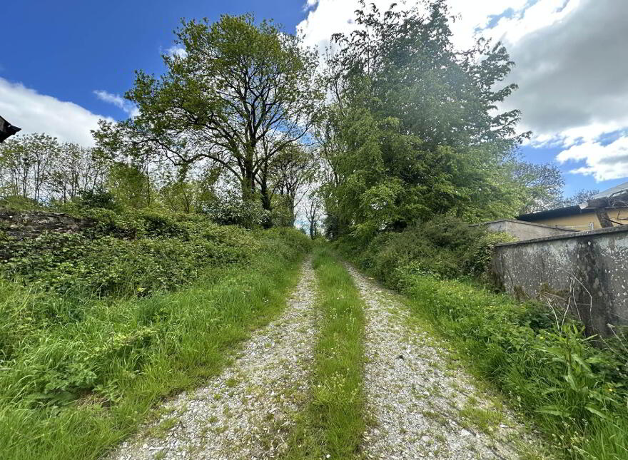 Carroward, Dromcolliher