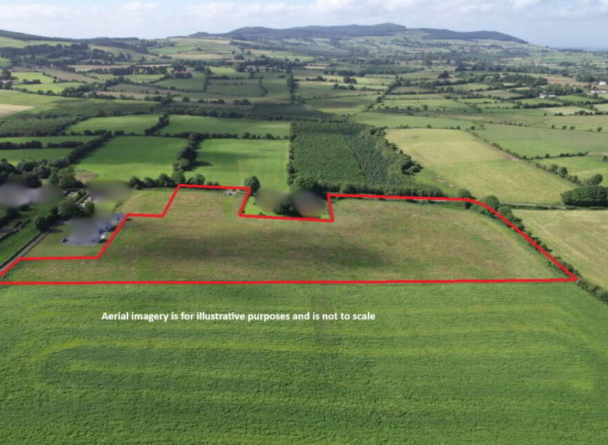 Tully, Glenroe