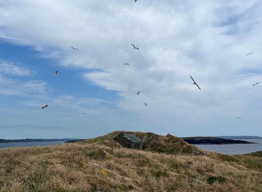 Goat Island, Schull