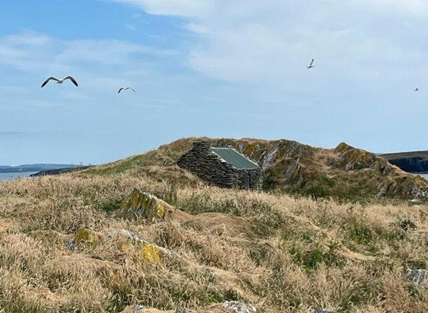 Goat Island, Schull