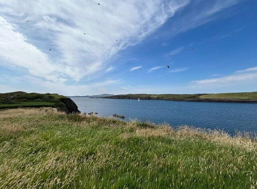 Goat Island, Schull