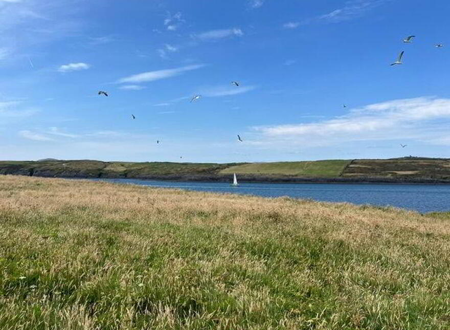 Goat Island, Schull