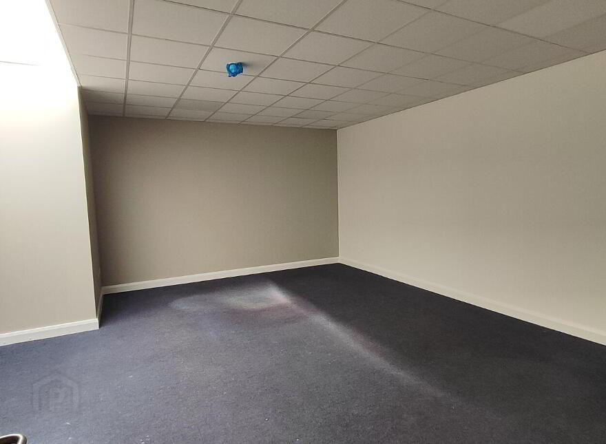Unit 18, Claregalway Corporate Park, Claregalway, H91KFX3
