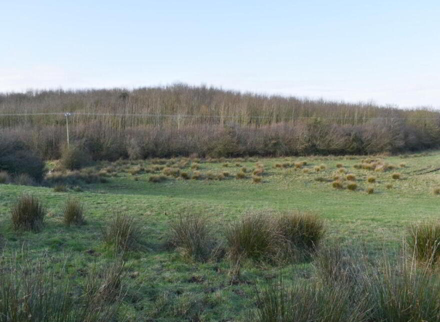 Building Site, West On Lisnagleer Road ( 6.2 Acres), Dungannon, BT70 3LN