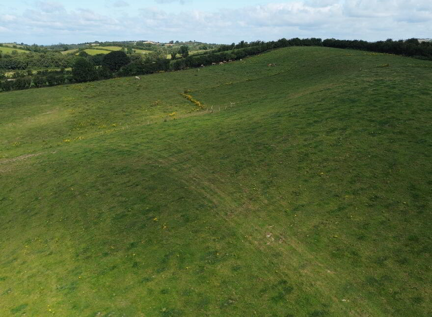 Cornalaragh, Doagh, Carrickmacross
