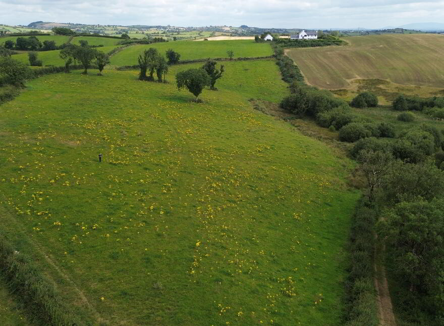 Cornalaragh, Doagh, Carrickmacross
