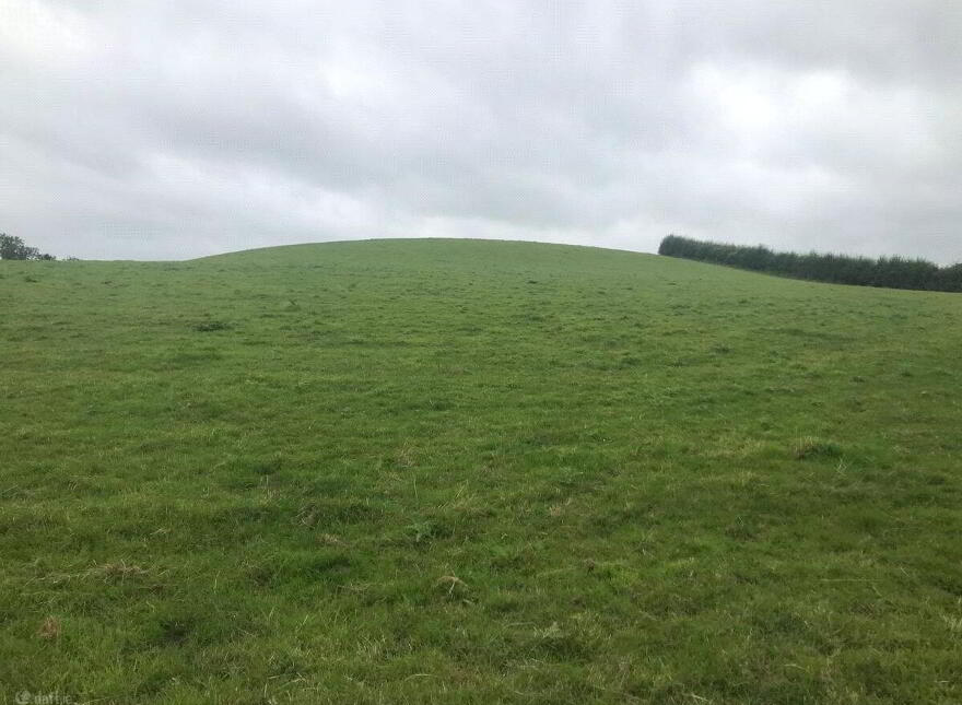 Tyholland, H18T384