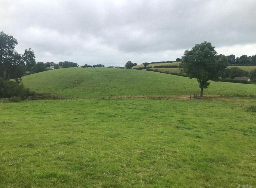 Tyholland, H18T384
