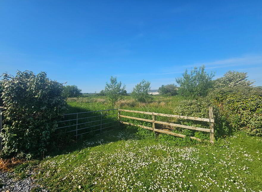 Tullacrimmin, Kilflynn, Kilflynn, V92PC94 photo
