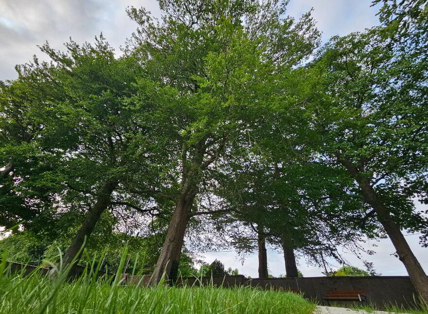 The Monastery, Castle Demesne, Ballinahow, V92XTF8