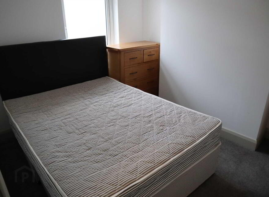 39 Lower Windsor Avenue, Lisburn Road, Belfast, BT9 7DW