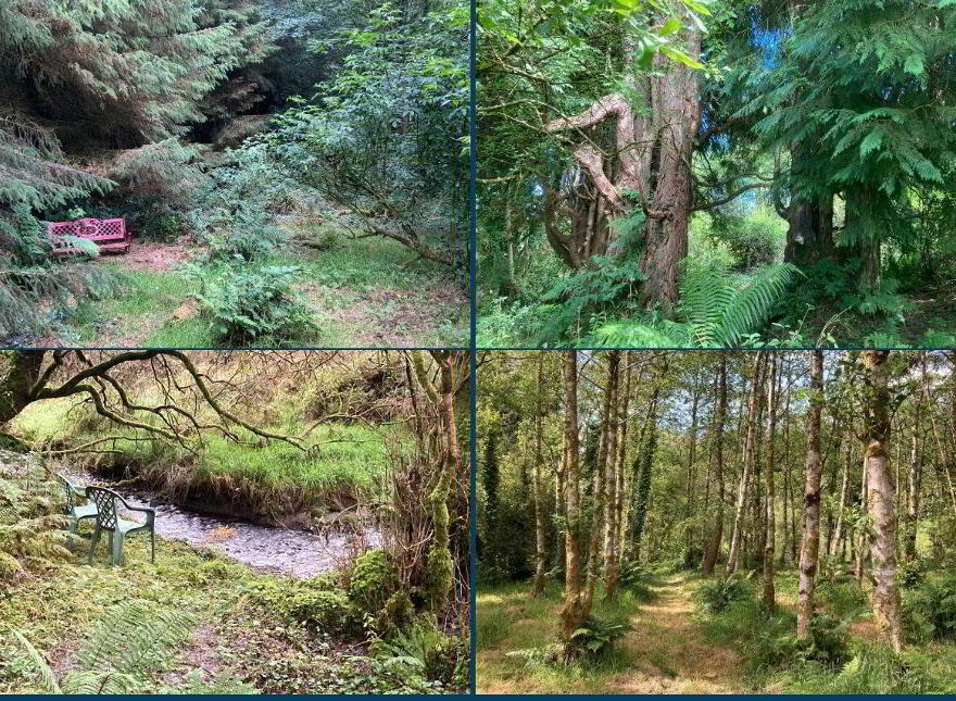 Cragg, Abbeyfeale