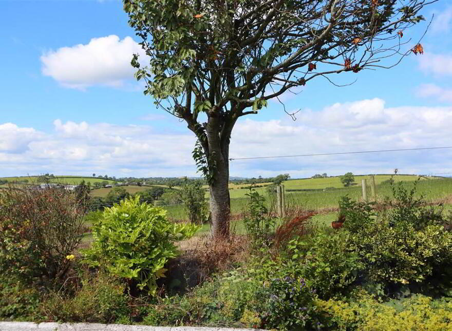 31 Lusky Road, Killinchy, BT23 6RS