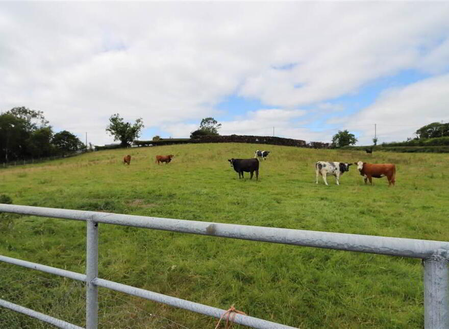 31 Lusky Road, Killinchy, BT23 6RS